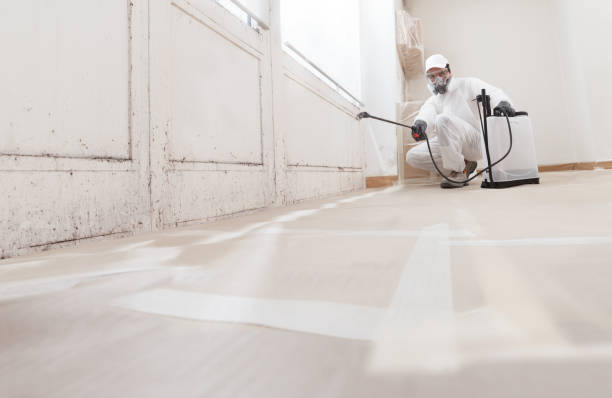 24/7 Emergency Mold Remediation experts in Bloomington, MD